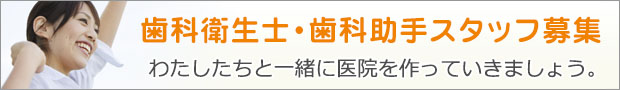 歯科衛生士・歯科助手 スタッフ募集