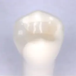 ハイブリッドレジン